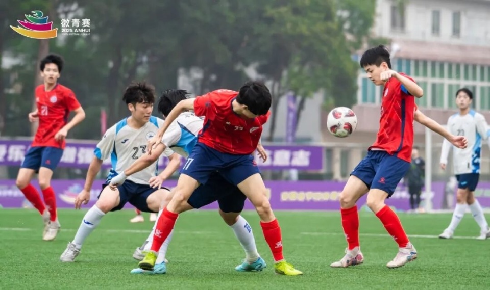 YDVsw, com YDVsw, com